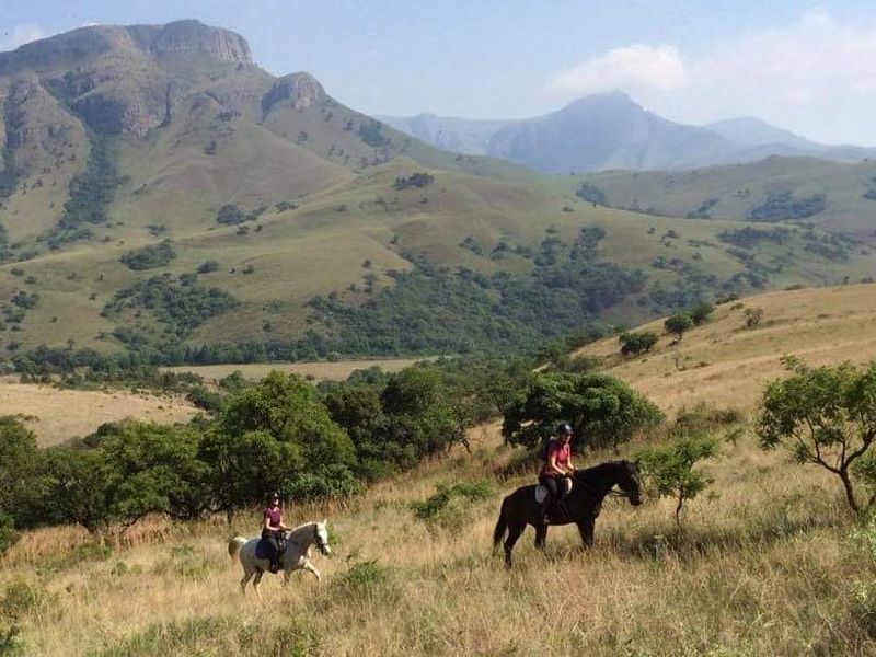 Spectacular 144ha Lifestyle Farm in the Steenkamps Mountains near Lydenburg - Photo 10