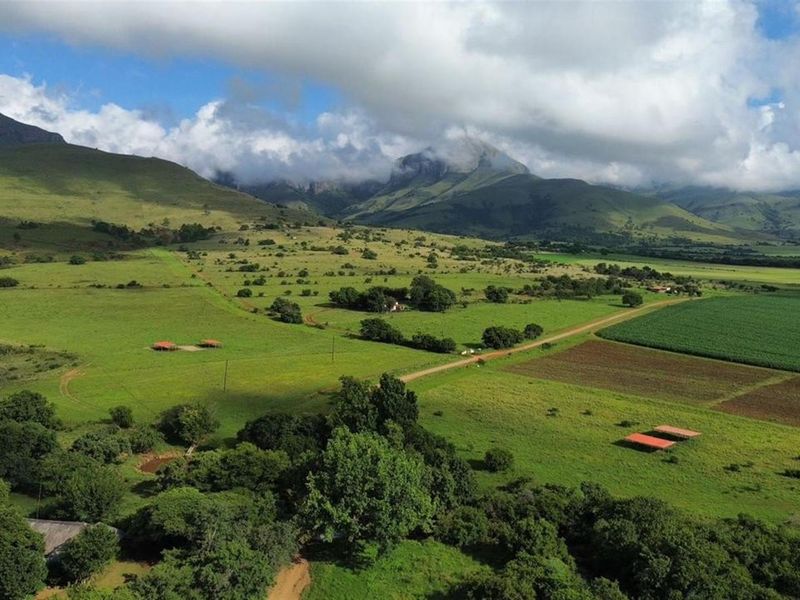 Spectacular 144ha Lifestyle Farm in the Steenkamps Mountains near Lydenburg - Photo 3