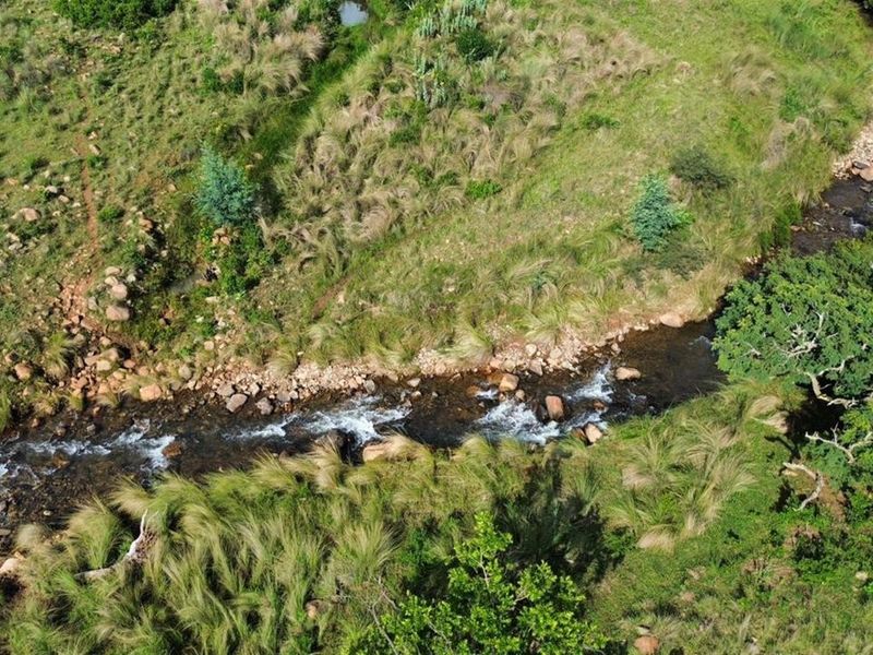 Spectacular 144ha Lifestyle Farm in the Steenkamps Mountains near Lydenburg - Photo 6