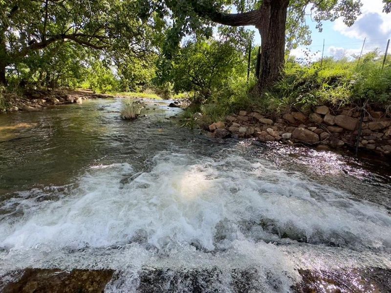 Spectacular 144ha Lifestyle Farm in the Steenkamps Mountains near Lydenburg - Photo 5