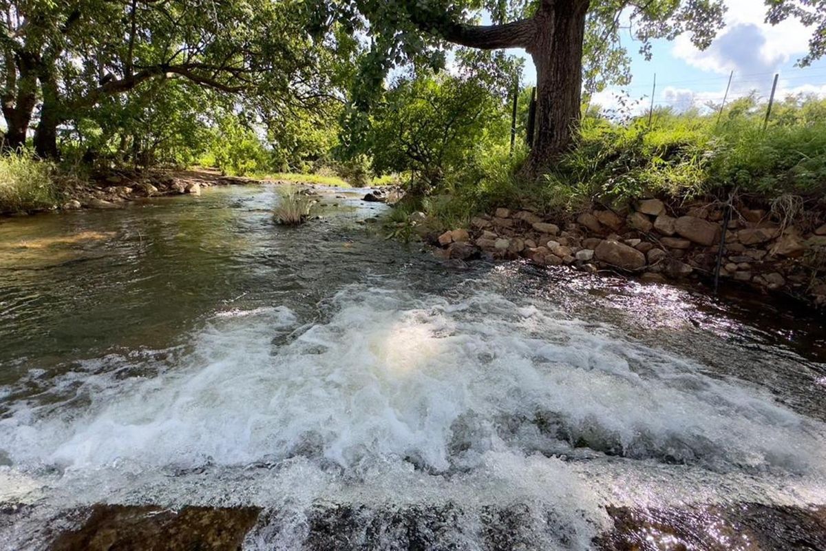 Spectacular 144ha Lifestyle Farm in the Steenkamps Mountains near Lydenburg - Photo 5