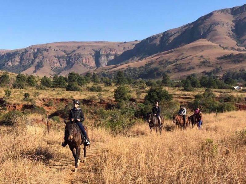 Spectacular 144ha Lifestyle Farm in the Steenkamps Mountains near Lydenburg - Photo 7