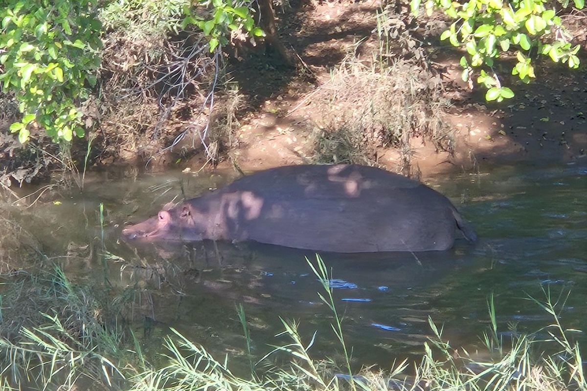 Vacant Land For Sale in Elephant Rock Eco Estate, Hoedspruit - Photo 3