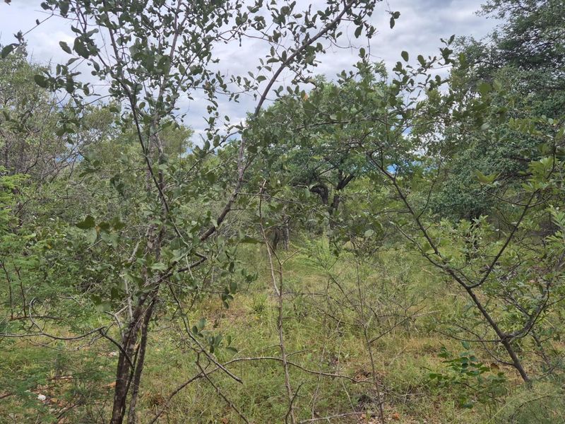 Vacant Land For Sale in Elephant Rock Eco Estate, Hoedspruit - Photo 10