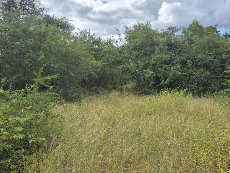 Vacant Land For Sale in Elephant Rock Eco Estate, Hoedspruit - Photo 4