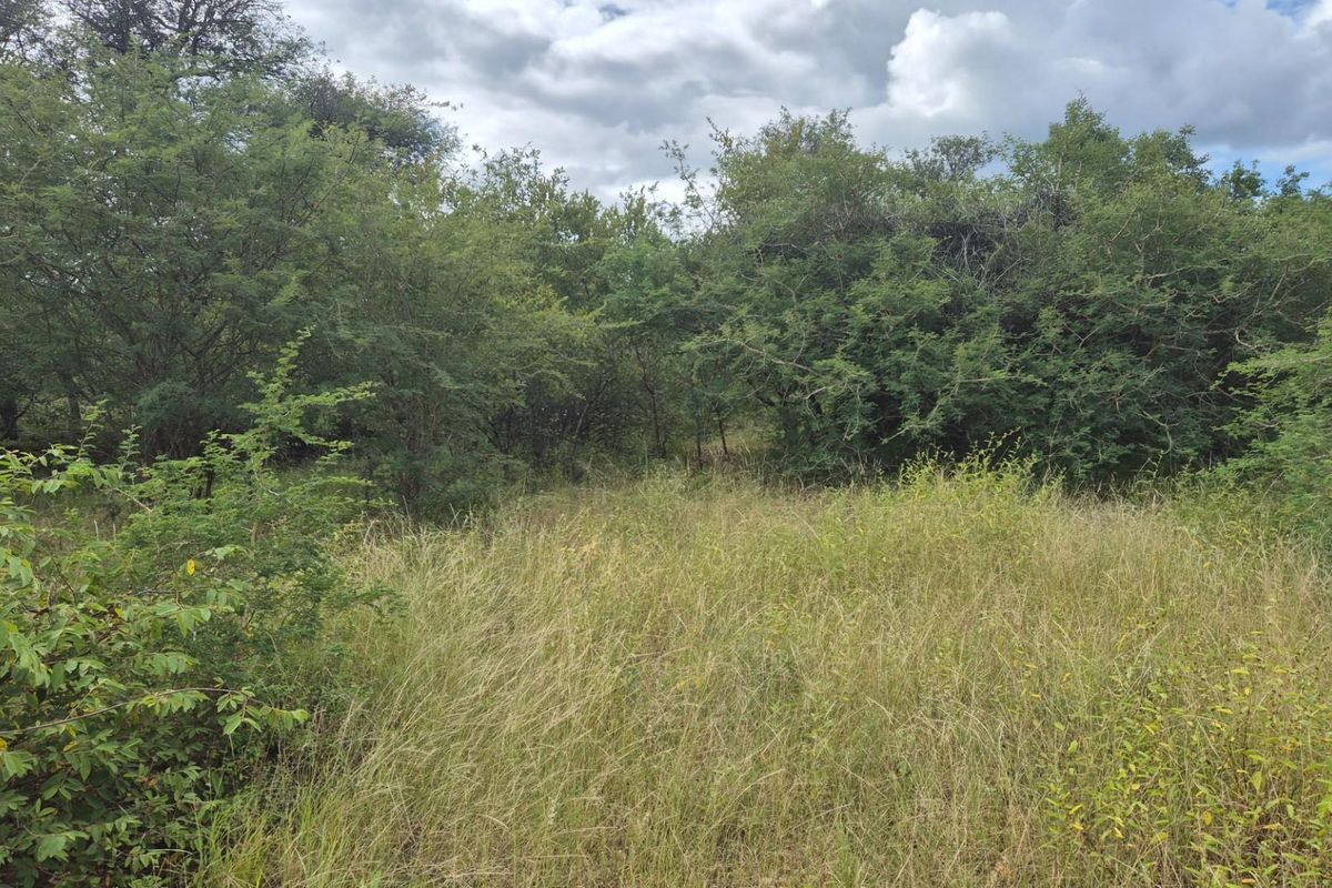 Vacant Land For Sale in Elephant Rock Eco Estate, Hoedspruit - Photo 4