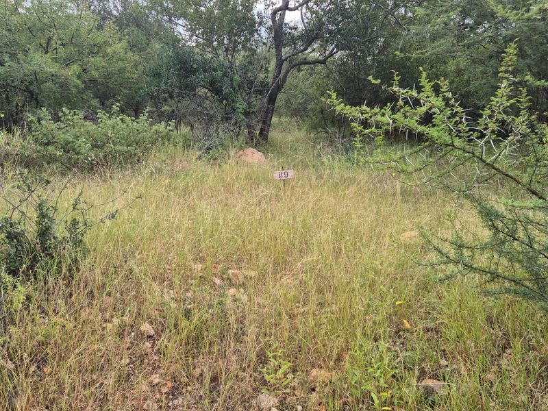 Vacant Land For Sale in Elephant Rock Eco Estate, Hoedspruit - Photo 2