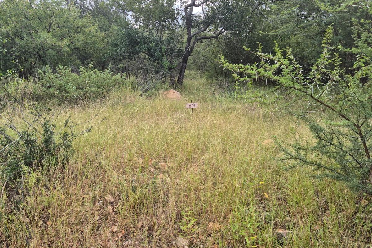 Vacant Land For Sale in Elephant Rock Eco Estate, Hoedspruit - Photo 2