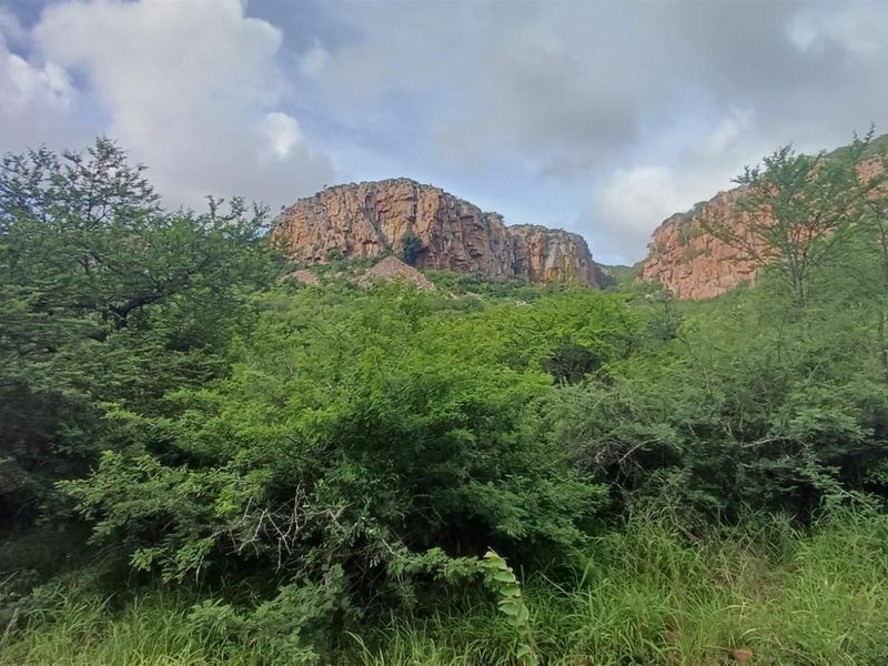 484ha Commercial Farming and Aquaculture Operation with Strong Water and Dual Housing - Photo 6