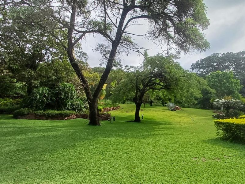 484ha Commercial Farming and Aquaculture Operation with Strong Water and Dual Housing - Photo 9