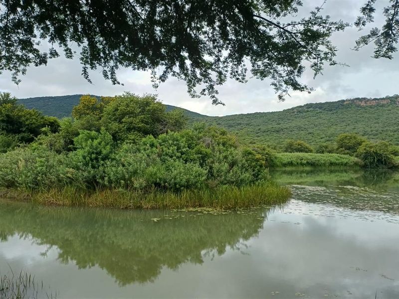 484ha Commercial Farming and Aquaculture Operation with Strong Water and Dual Housing - Photo 8