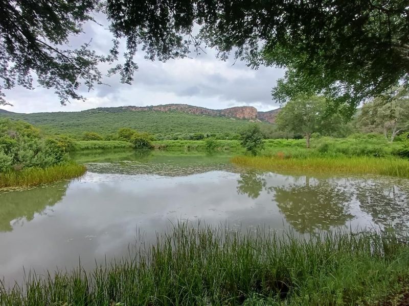 484ha Commercial Farming and Aquaculture Operation with Strong Water and Dual Housing - Photo 7