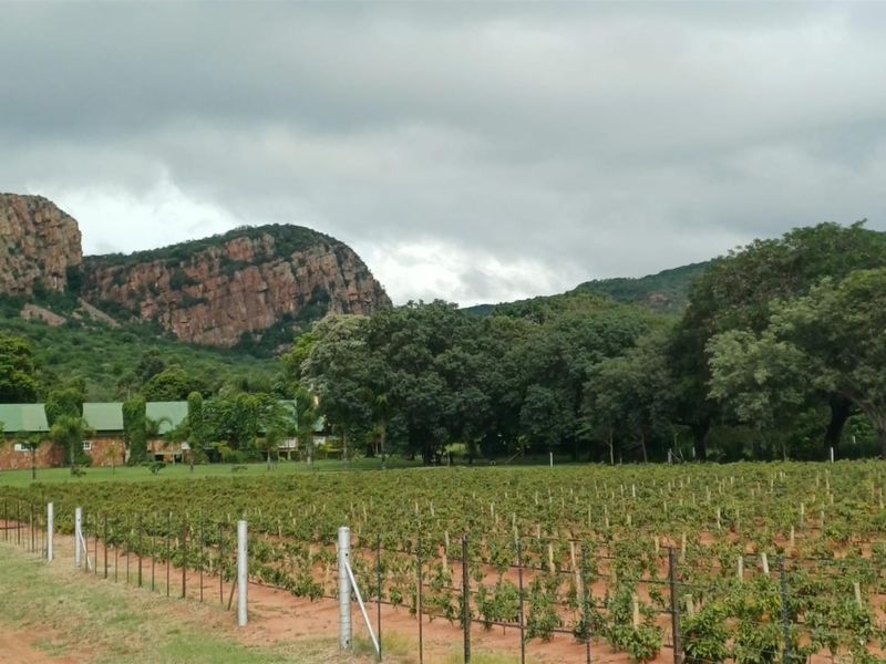 484ha Commercial Farming and Aquaculture Operation with Strong Water and Dual Housing - Photo 4