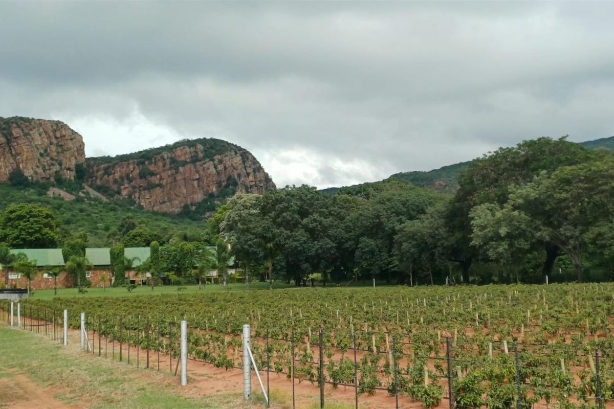 484ha Commercial Farming and Aquaculture Operation with Strong Water and Dual Housing - Photo 4