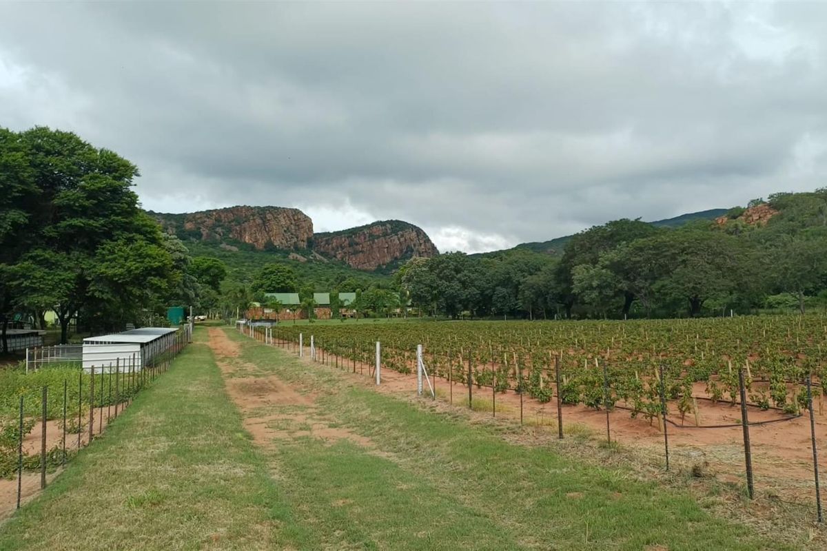 484ha Commercial Farming and Aquaculture Operation with Strong Water and Dual Housing - Photo 5