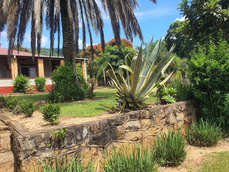 A well-maintained farm garden featuring a stone retaining wall, mature palm tree, and established landscaping with a view of the farmhouse exterior.