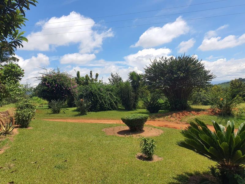 A well-maintained garden area on the farm property featuring established trees, shrubs, and a natural dirt pathway.