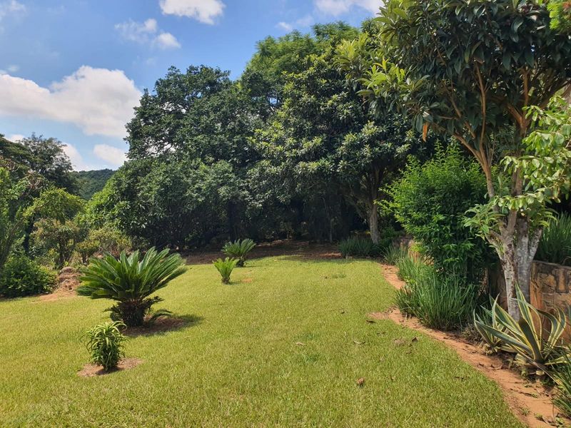 A well-maintained garden area featuring established trees, manicured lawn, and stone retaining wall elements on a farm property.