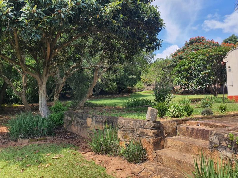 A lush, established garden area featuring mature trees, a stone retaining wall, and stone steps leading to a grassy lawn.