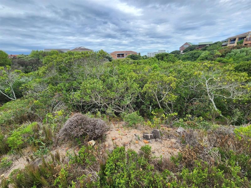 A view of the vacant residential land featuring dense indigenous coastal vegetation and sandy terrain, set within a developed residential neighbourhood.