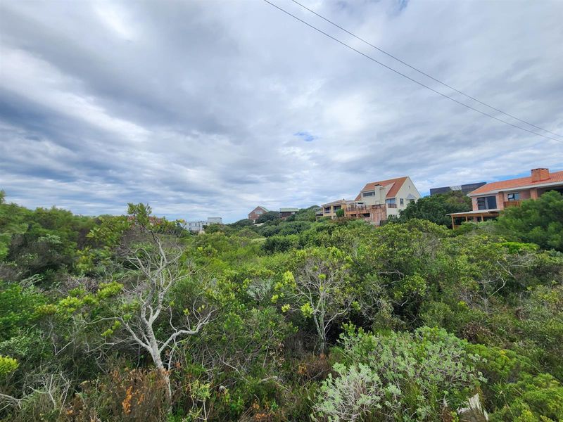 A view of a vacant residential plot featuring dense indigenous coastal vegetation with established residential properties visible in the background.