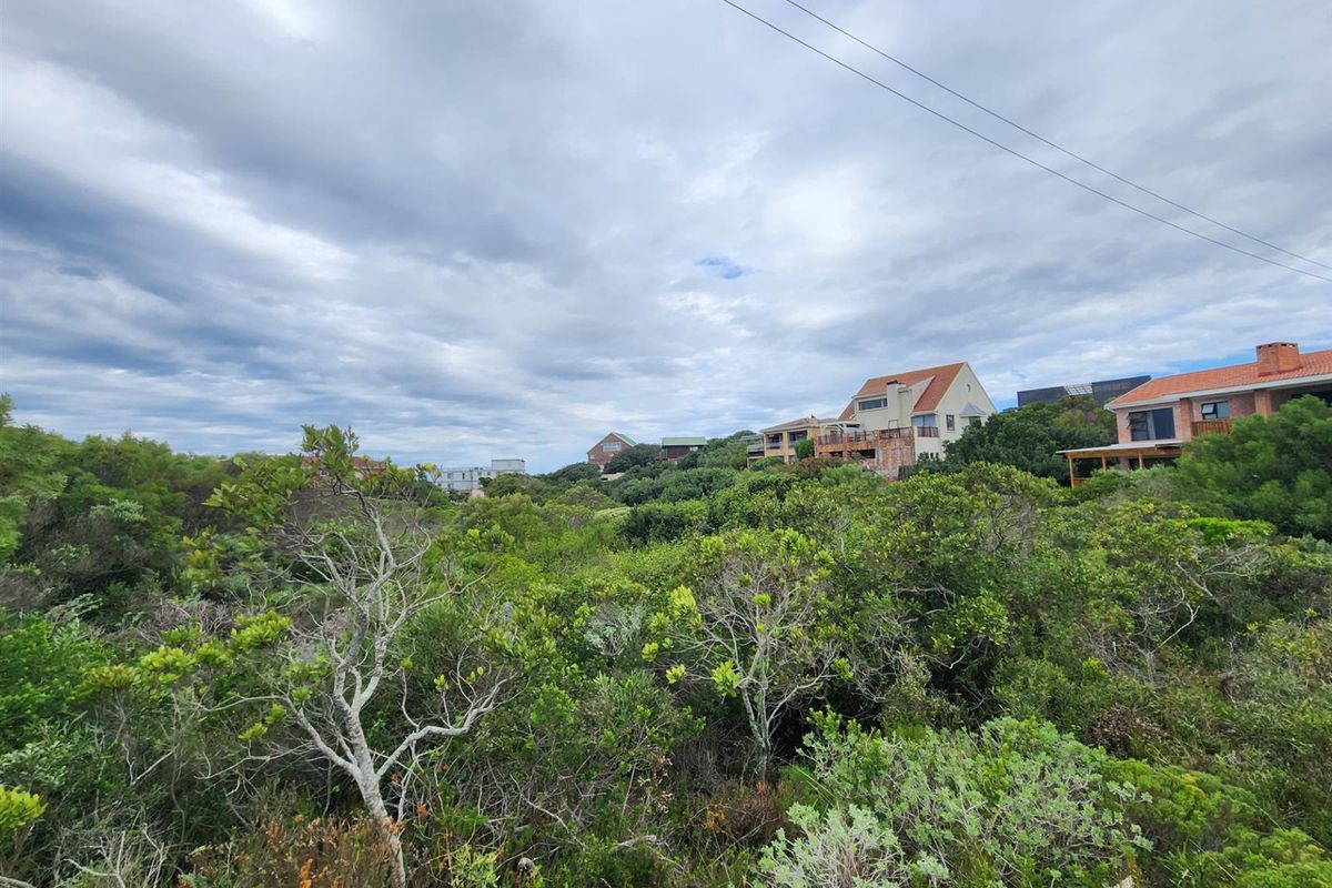 A view of a vacant residential plot featuring dense indigenous coastal vegetation with established residential properties visible in the background.