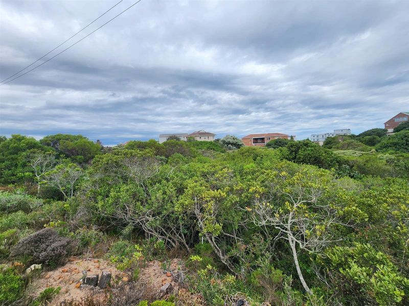 A view of a vacant residential plot covered in dense indigenous coastal vegetation with surrounding residential properties visible in the distance.