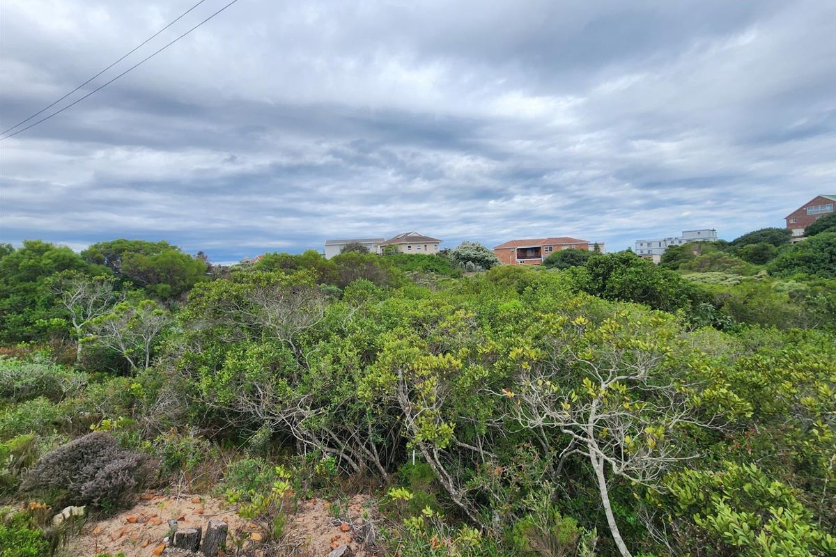 A view of a vacant residential plot covered in dense indigenous coastal vegetation with surrounding residential properties visible in the distance.