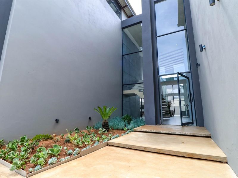 Modern architectural entrance featuring a striking double-volume glass facade, concrete steps, and a landscaped garden bed leading to a contemporary pivot door.