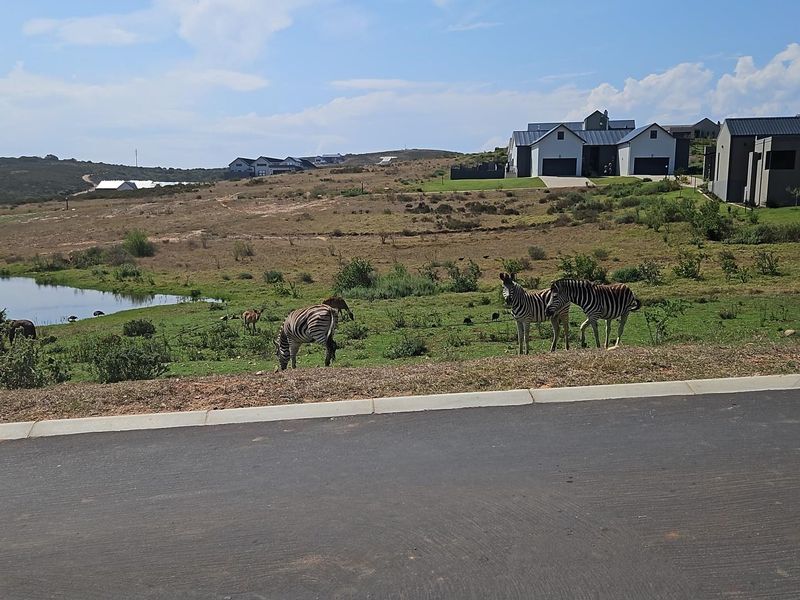 House For Sale in Outeniquasbosch, Hartenbos - Photo 10