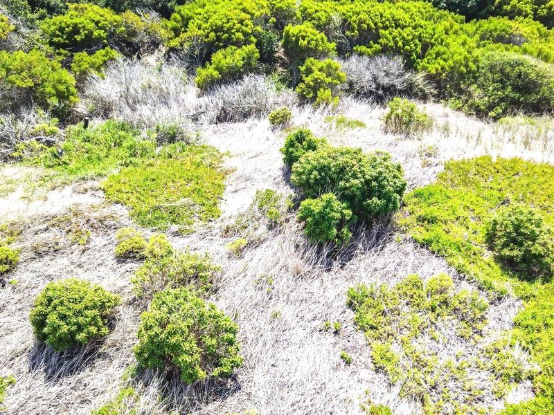 An aerial view of a vacant residential plot featuring natural coastal vegetation and sandy terrain.