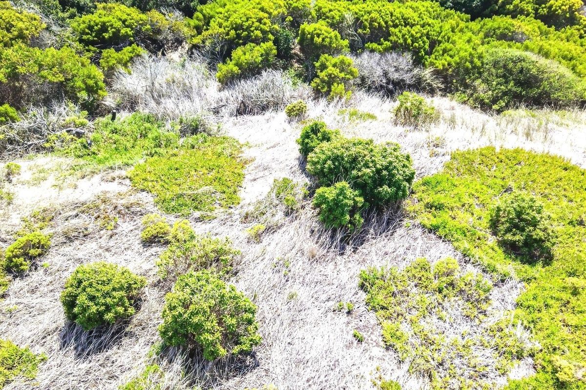 An aerial view of a vacant residential plot featuring natural coastal vegetation and sandy terrain.