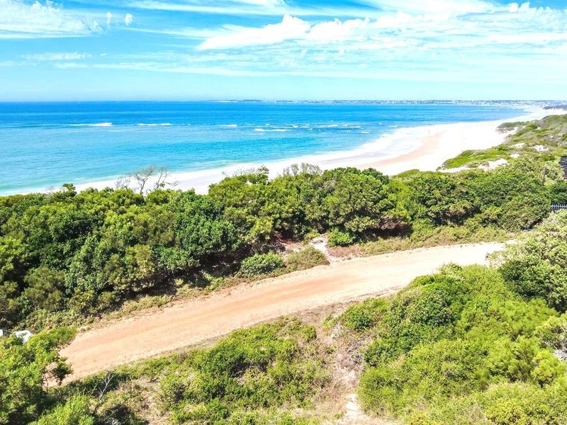 Aerial view of a vacant residential plot featuring native coastal vegetation and direct proximity to the beach and ocean.