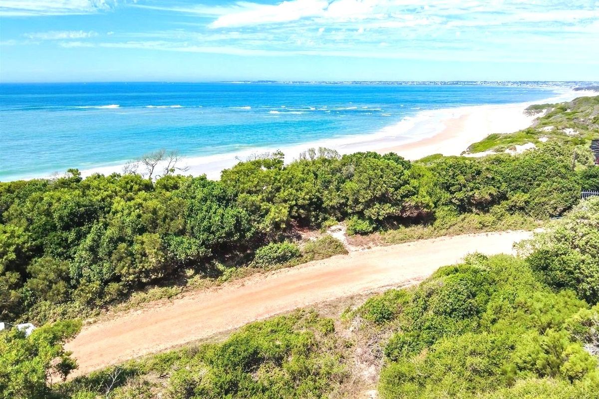 Aerial view of a vacant residential plot featuring native coastal vegetation and direct proximity to the beach and ocean.
