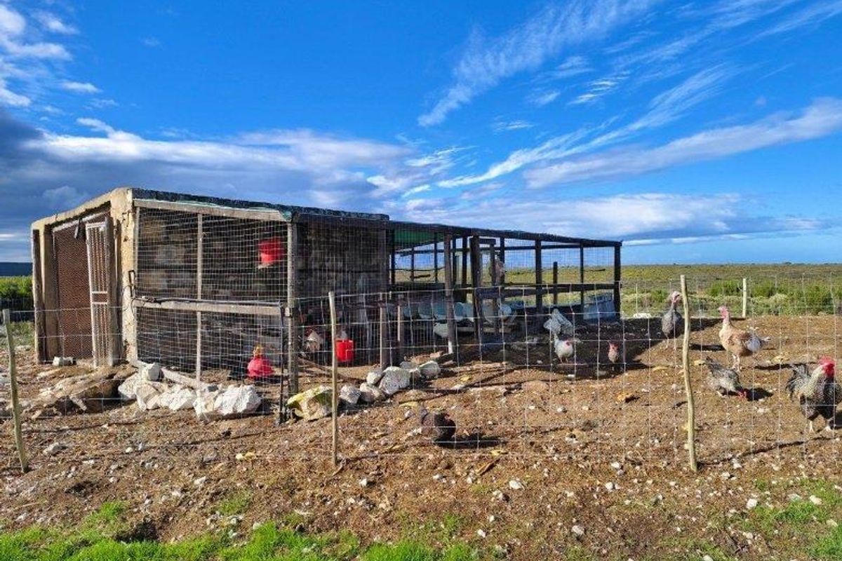 Farm For Sale in Vermaaklikheid, Riversdale - Photo 5