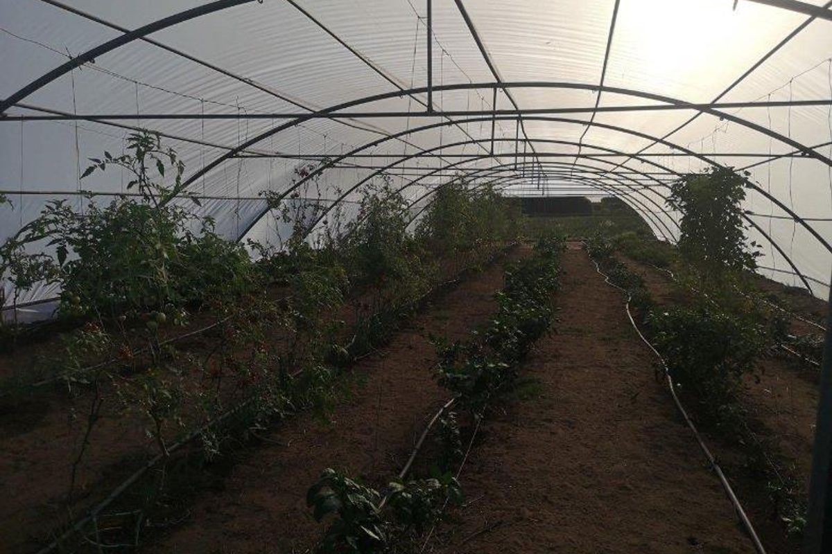 Farm For Sale in Vermaaklikheid, Riversdale - Photo 4