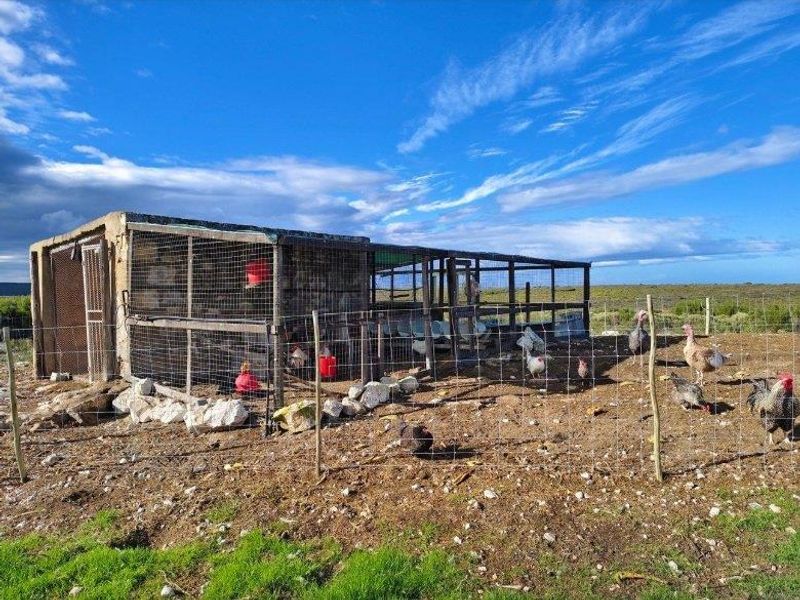 A functional outdoor poultry enclosure featuring a basic wire mesh structure and concrete base, situated on open farm land.