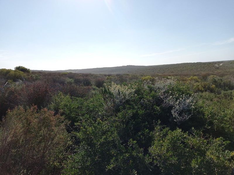 Expansive view of the natural landscape and indigenous vegetation on the farm property.