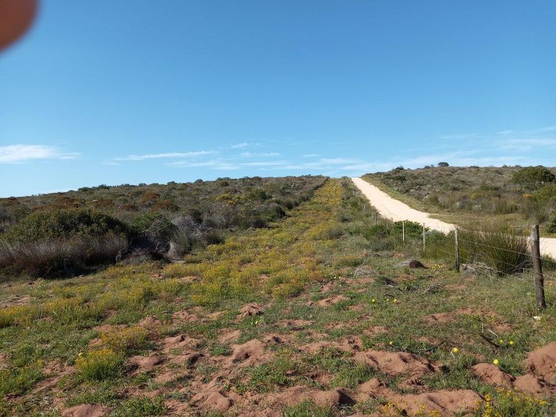 A view of the expansive farm landscape featuring a dirt access road and natural vegetation under a clear blue sky.