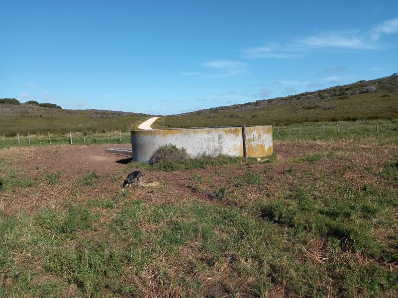A circular concrete water reservoir or trough situated in an open field on the farm property.