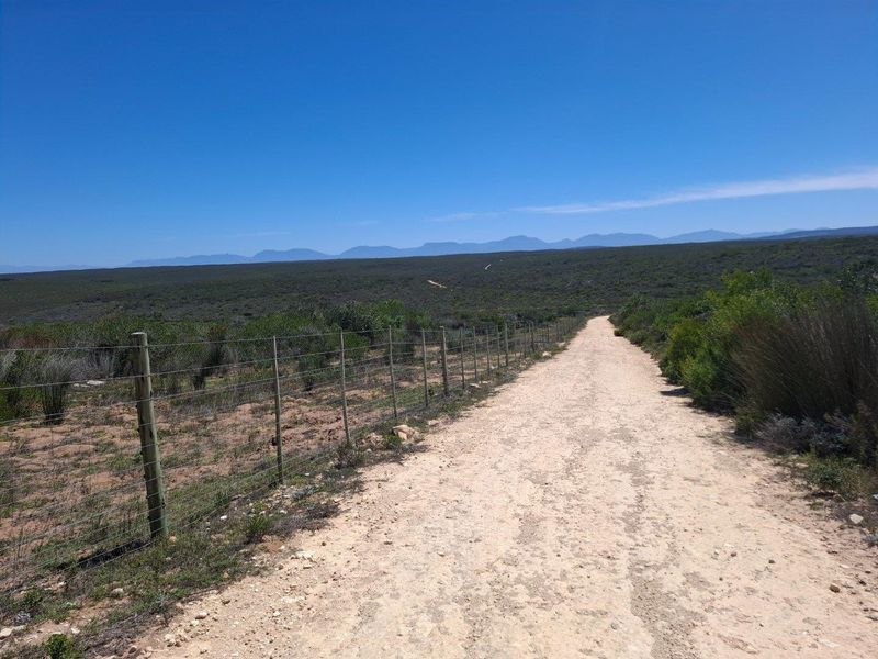 A gravel farm access road stretching through the property, bordered by wire fencing and native vegetation with distant mountain views.