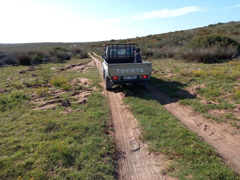 A view of a dirt track traversing the open landscape of the farm property.