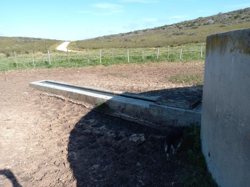 Outdoor livestock watering trough and concrete water storage tank situated in a rural farm setting with surrounding pasture and fencing.