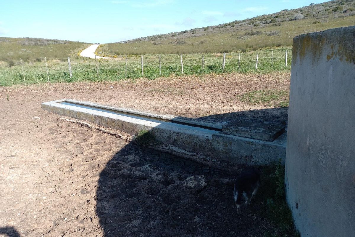 Outdoor livestock watering trough and concrete water storage tank situated in a rural farm setting with surrounding pasture and fencing.