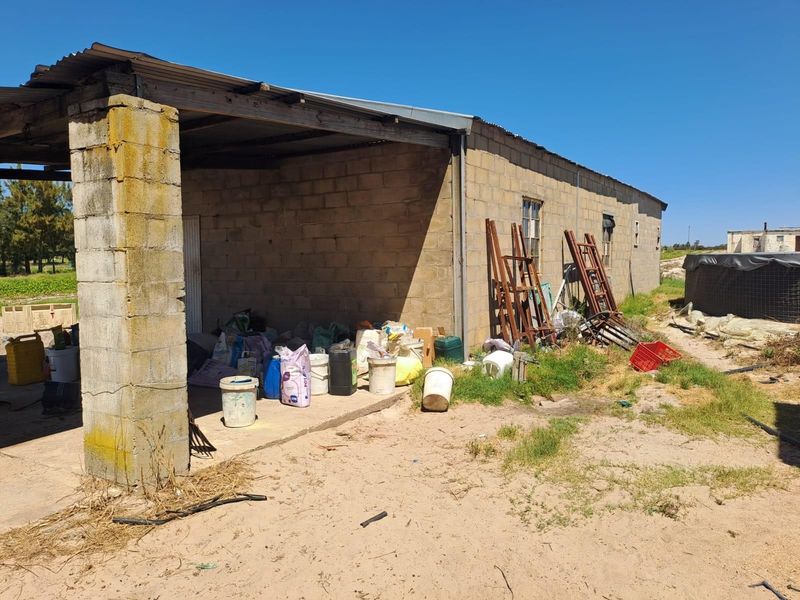Turnkey Income-Producing Vegetable Farm - Hopefield - Photo 10