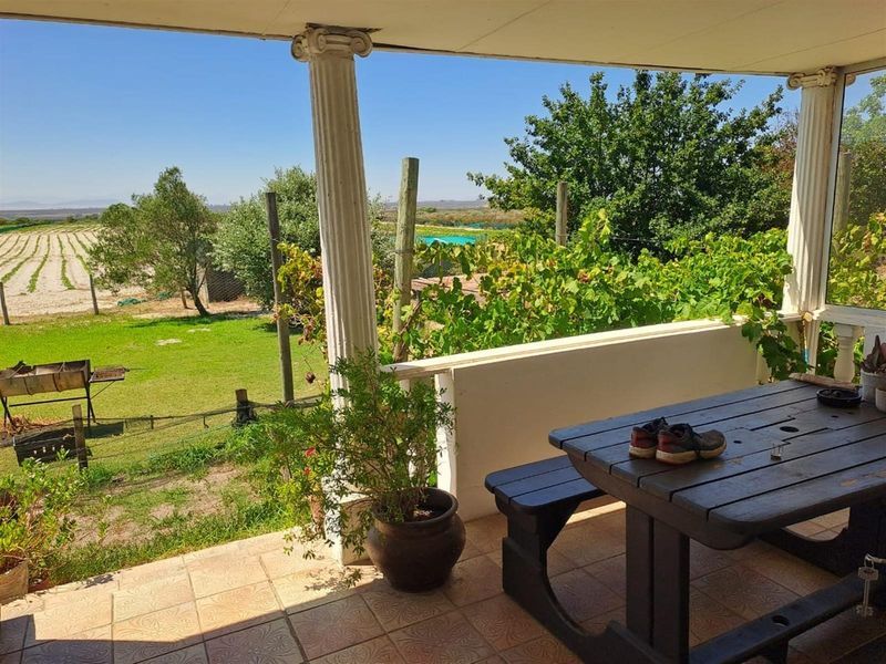 Turnkey Income-Producing Vegetable Farm - Hopefield - Photo 4