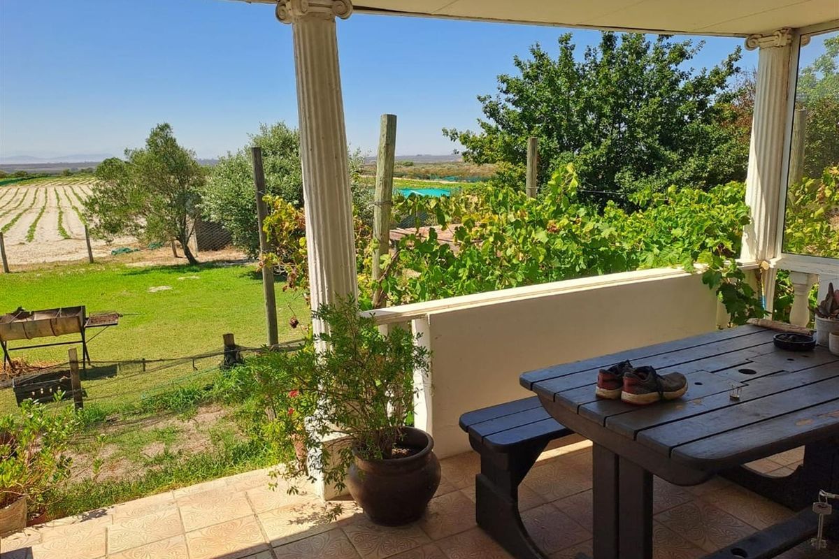 Turnkey Income-Producing Vegetable Farm - Hopefield - Photo 4