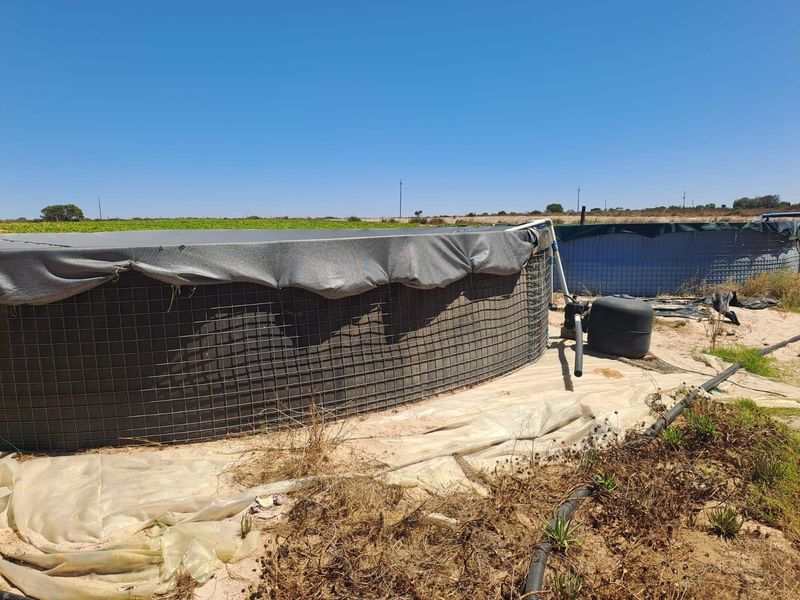 Turnkey Income-Producing Vegetable Farm - Hopefield - Photo 6