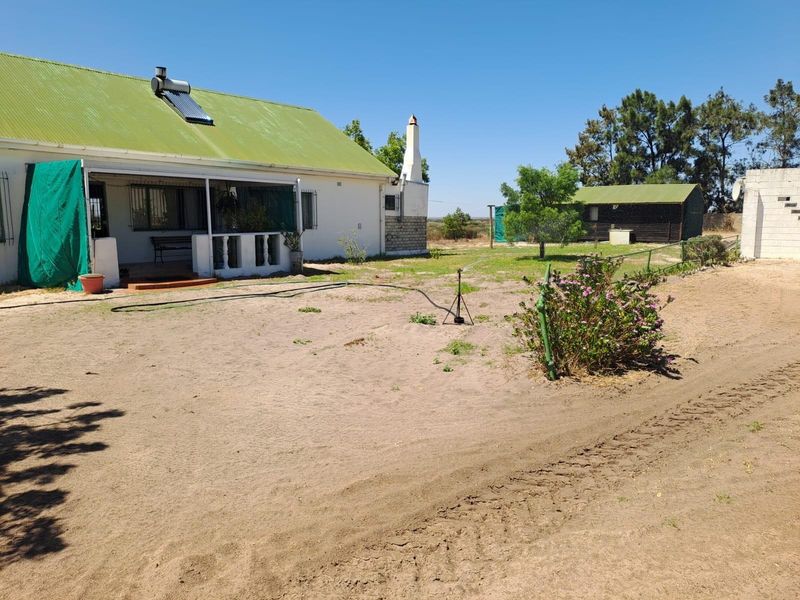 Turnkey Income-Producing Vegetable Farm - Hopefield - Photo 2