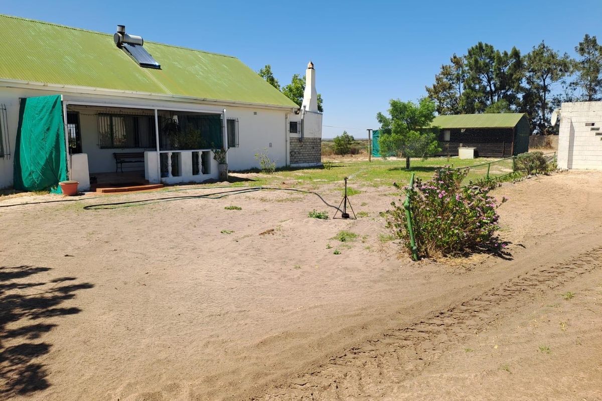 Turnkey Income-Producing Vegetable Farm - Hopefield - Photo 2